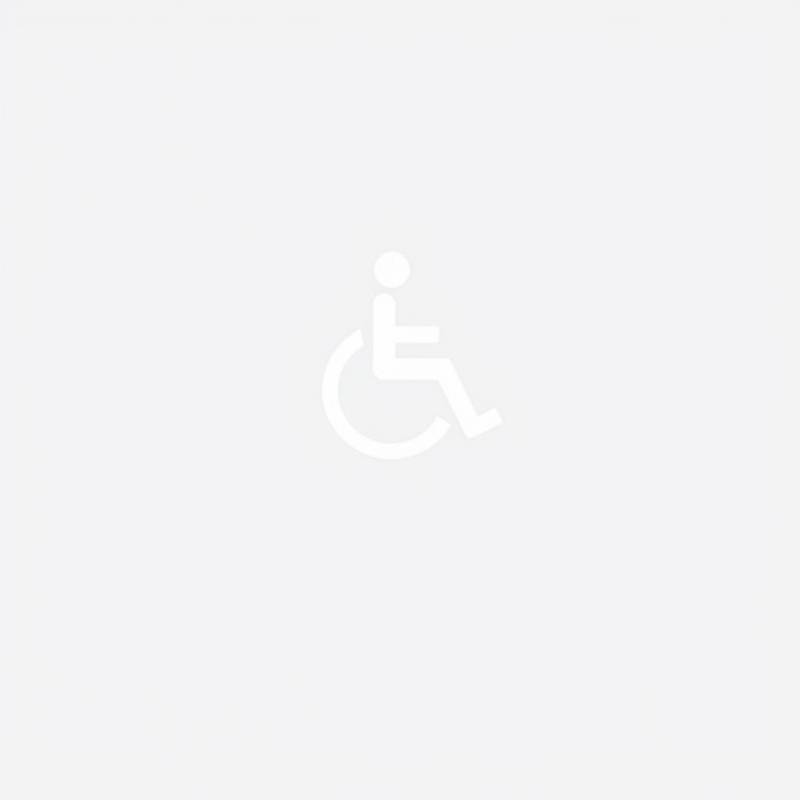 Toegankelijkheidspictogram